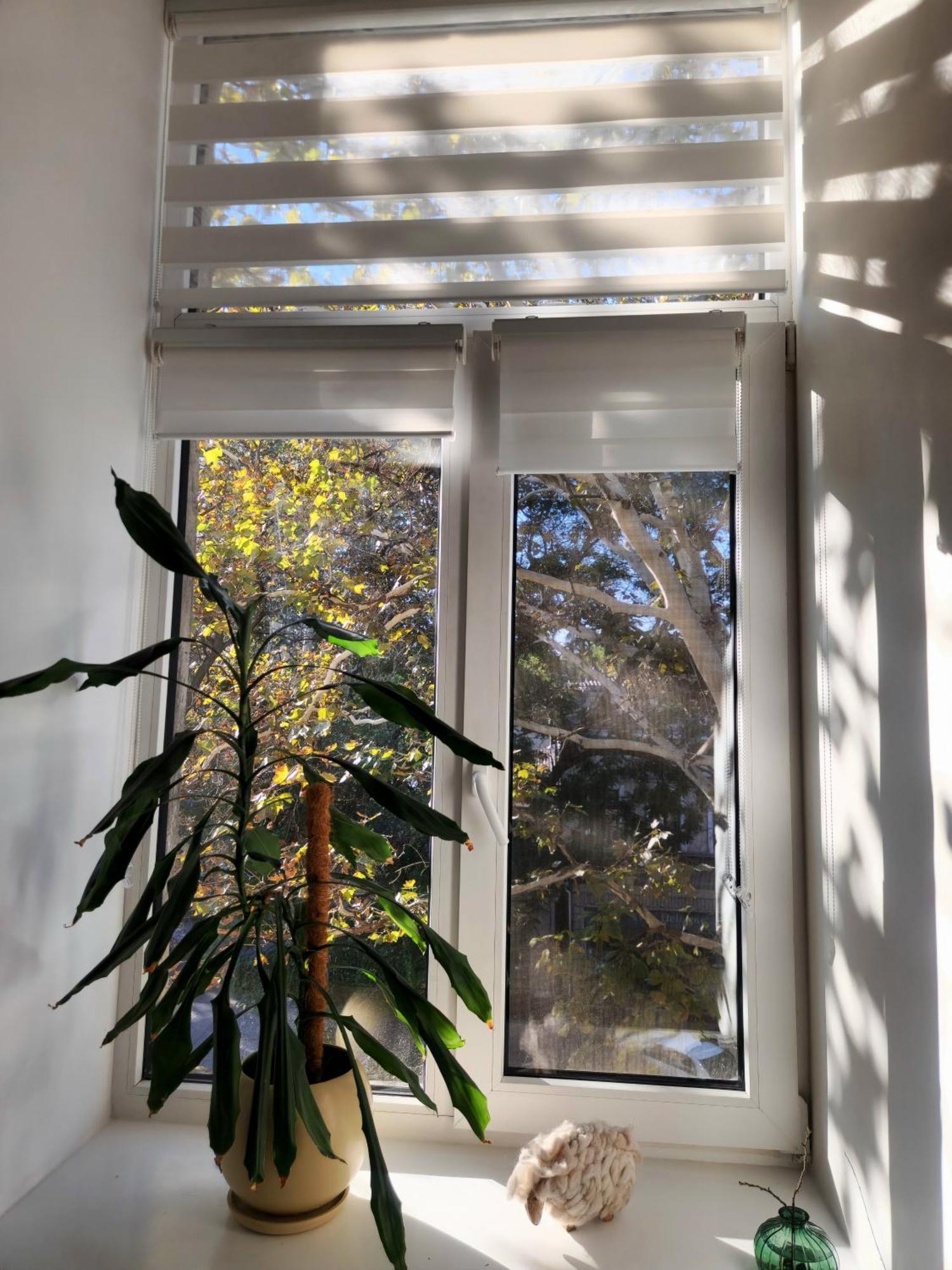 Scandi Group Apartaments Οδησσός Δωμάτιο φωτογραφία